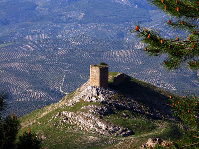 Día de visita a un castillo especial: turno del castillo que se ve en todas partes