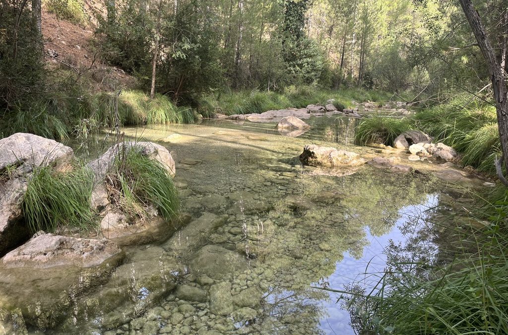 ¿Buscas turismo activo con la familia en Cazorla?